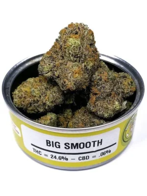 Space Monkey Meds Big Smooth