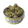 SPACE MONKEY MEDS CANS WHOLESALE BOX