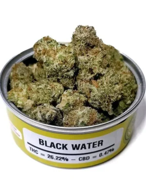 Space Monkey Meds Blackwater