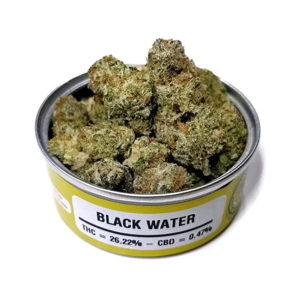 SPACE MONKEY MEDS CANS WHOLESALE BOX