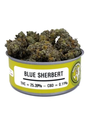 Space Monkey Meds BLUE SHERBET CREAM SODA 4G CAN – California's Finest Cannabis