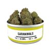 SPACE MONKEY MEDS CANS WHOLESALE BOX