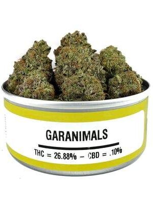 Space Monkey Meds Garanimals