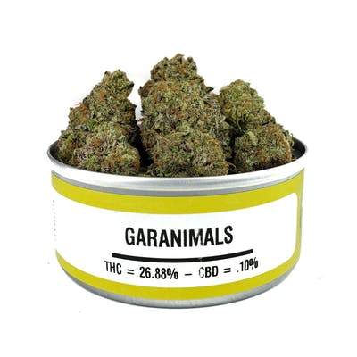 SPACE MONKEY MEDS CANS WHOLESALE BOX