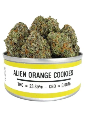 Space Monkey Meds Alien Orange Cookies