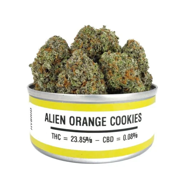 SPACE MONKEY MEDS CANS WHOLESALE BOX
