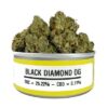 SPACE MONKEY MEDS CANS WHOLESALE BOX